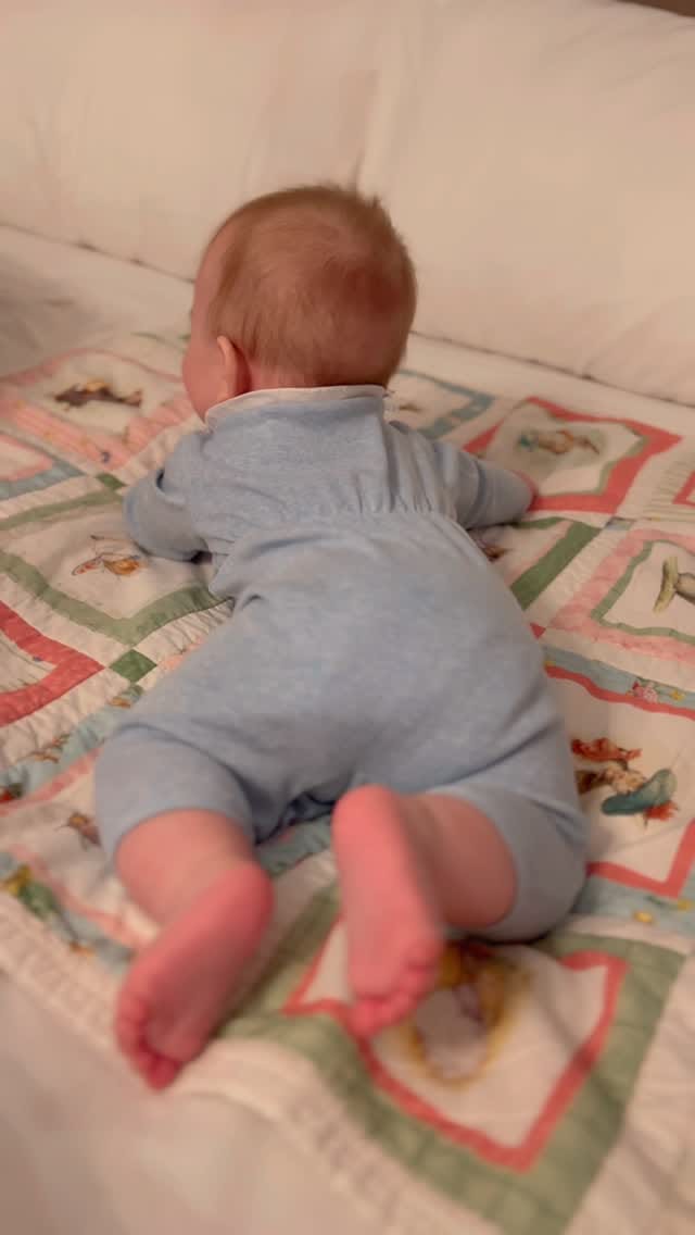 Post 3 by 𝕄𝕖𝕝𝕠𝕕𝕪 𝔾𝕒𝕣𝕕𝕠𝕥 on Instagram (video)