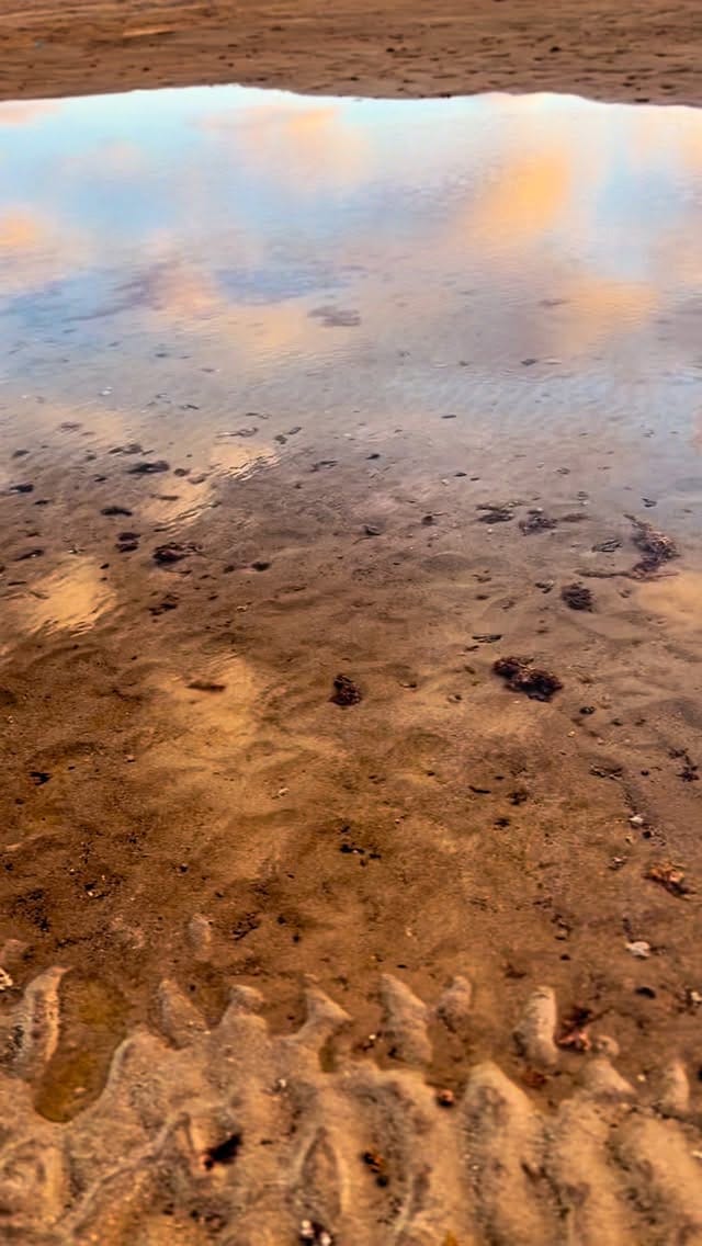 Post 9 by 𝕄𝕖𝕝𝕠𝕕𝕪 𝔾𝕒𝕣𝕕𝕠𝕥 on Instagram (video)