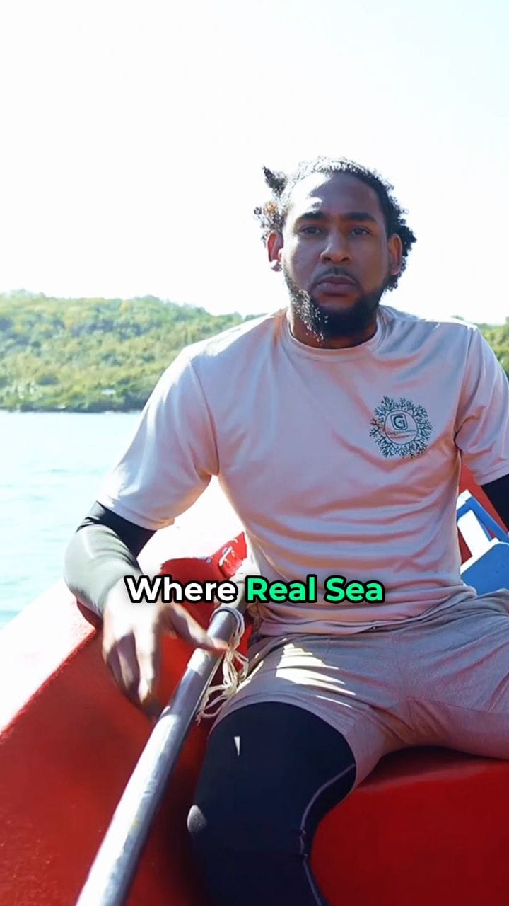 Post 8 by CGI_Green_SeaMoss on Instagram (video)