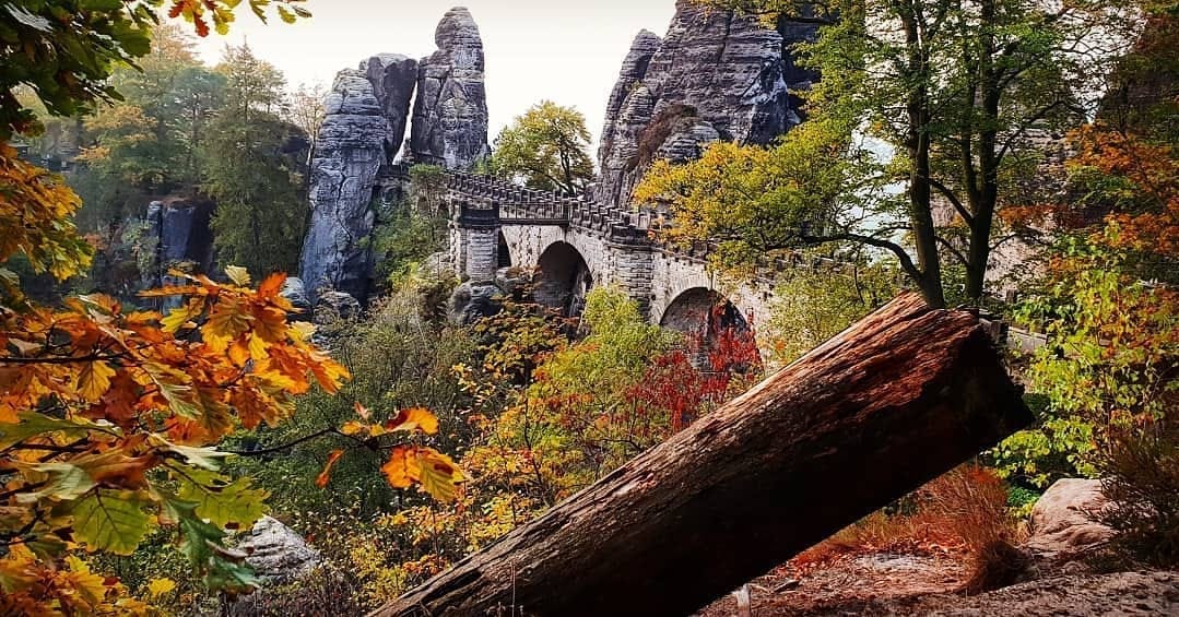 Post 7 by Typisch Dresdn on Instagram (image)