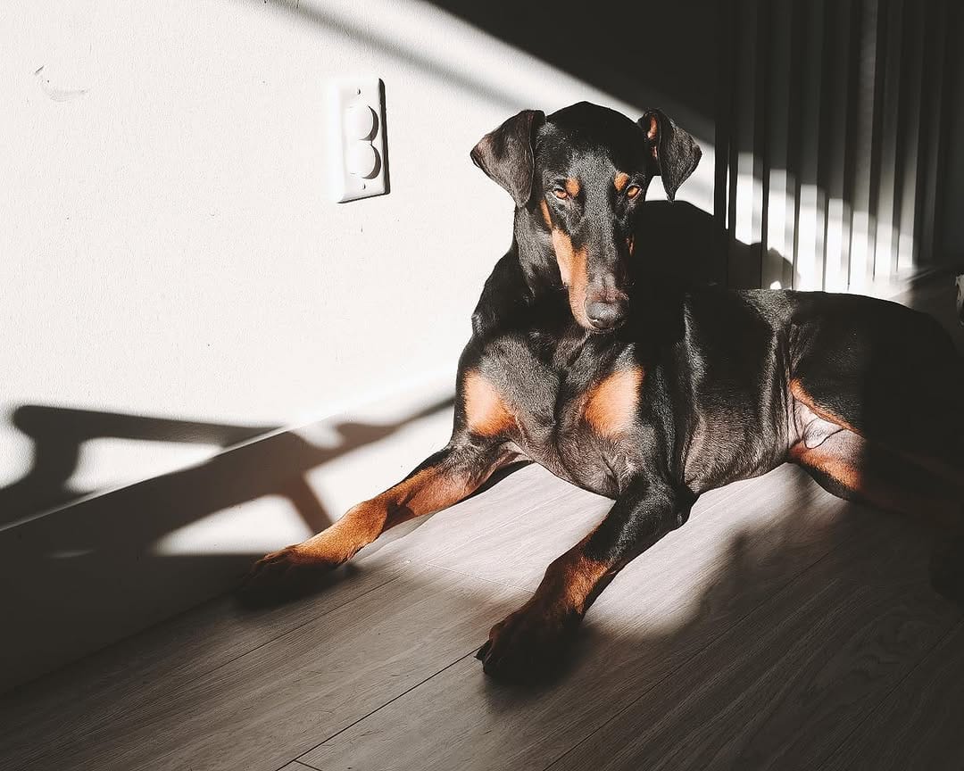 Post 2 by Michelle Martin on Instagram (image)