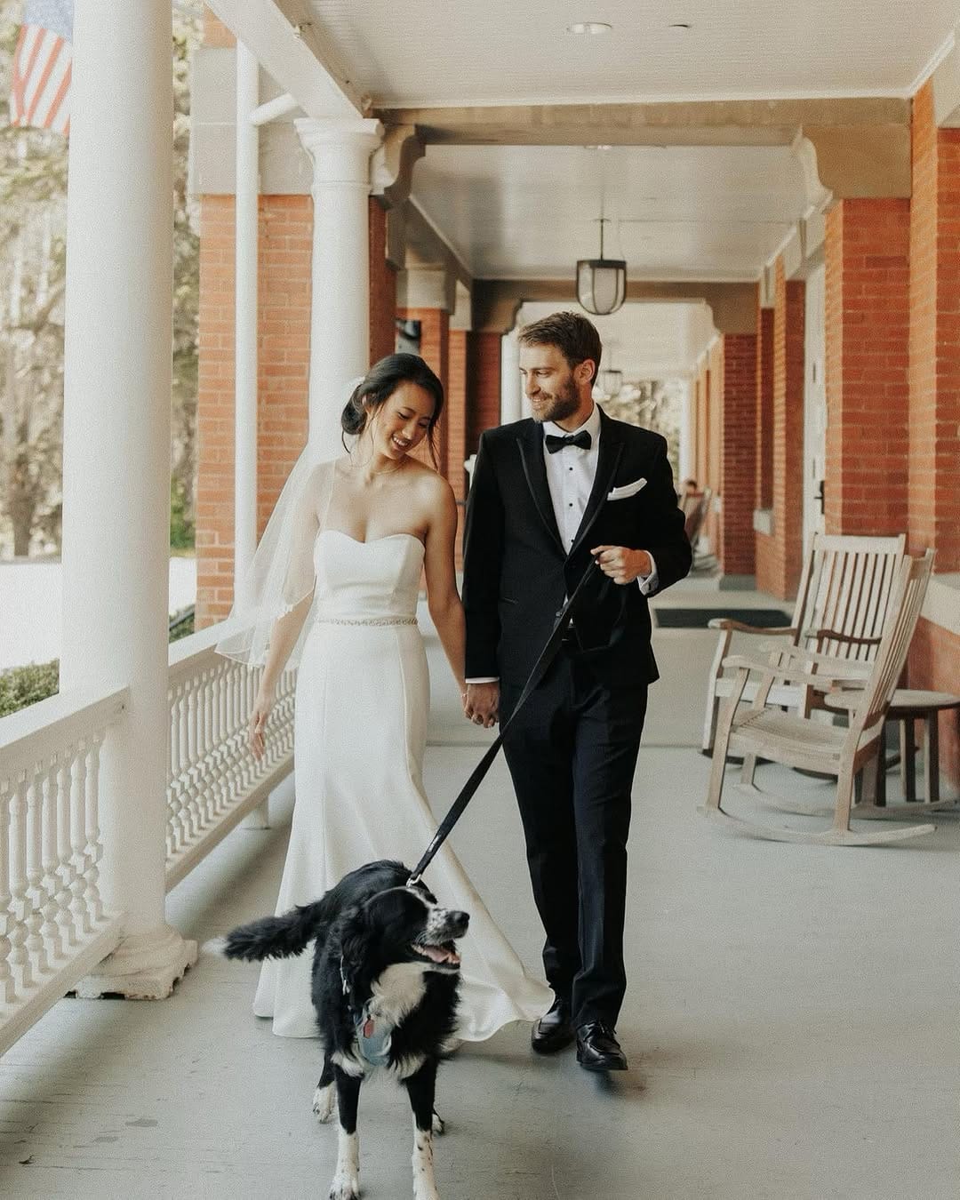 Post 9 by Murph & Jim || pet content creators on Instagram (carousel)