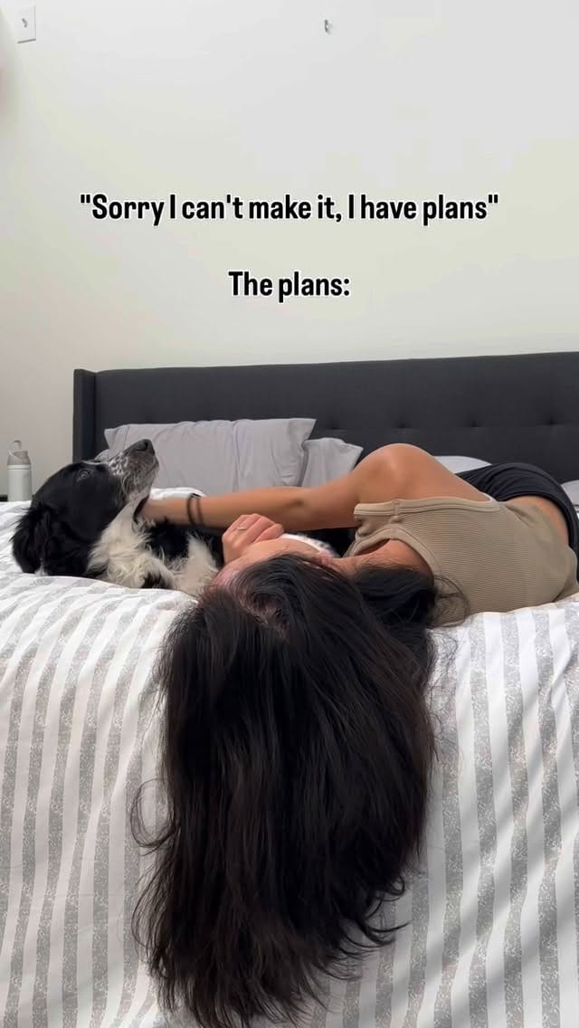 Post 4 by Murph & Jim || pet content creators on Instagram (video)