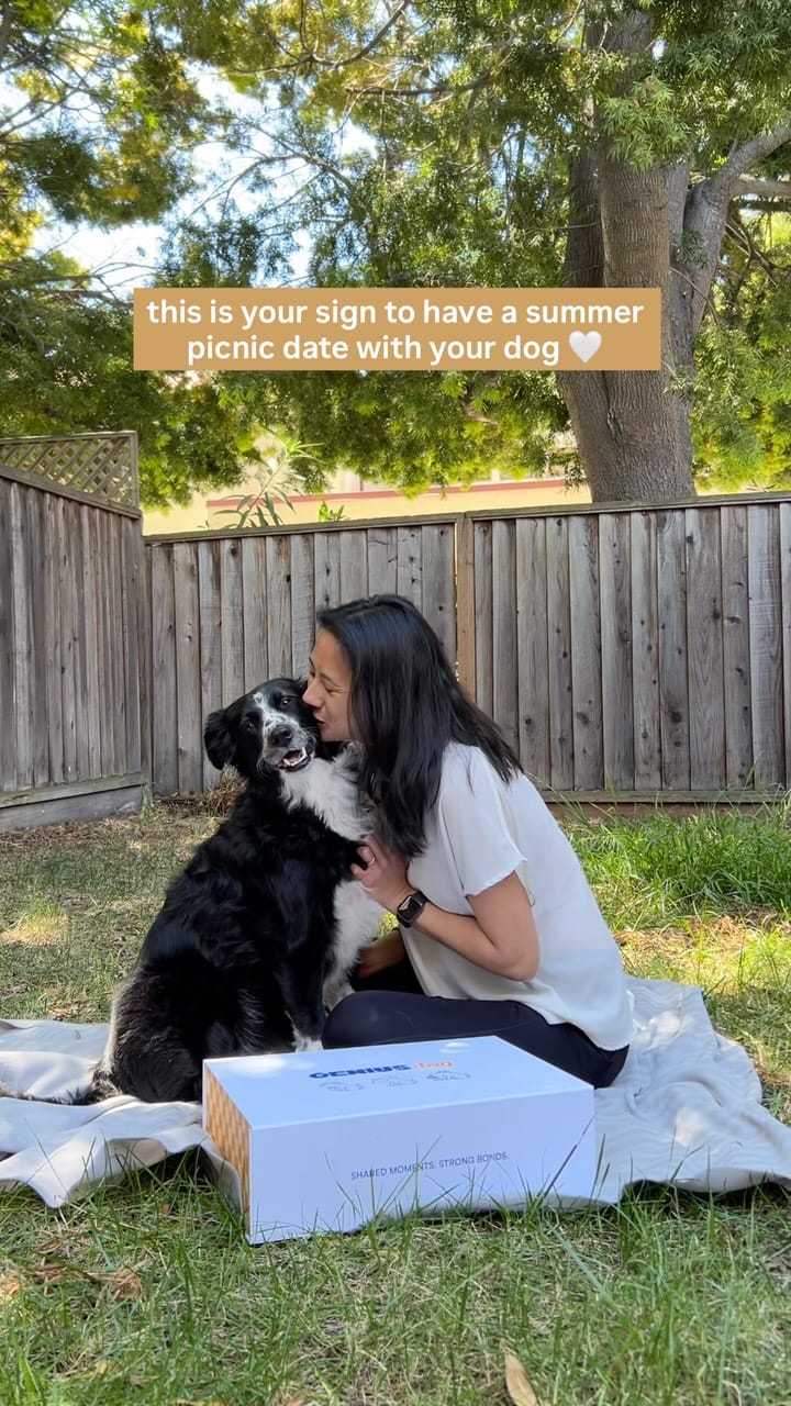 Post 2 by Murph & Jim || pet content creators on Instagram (video)
