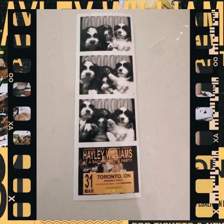 Post 10 by Mattie's Place on Instagram (image)