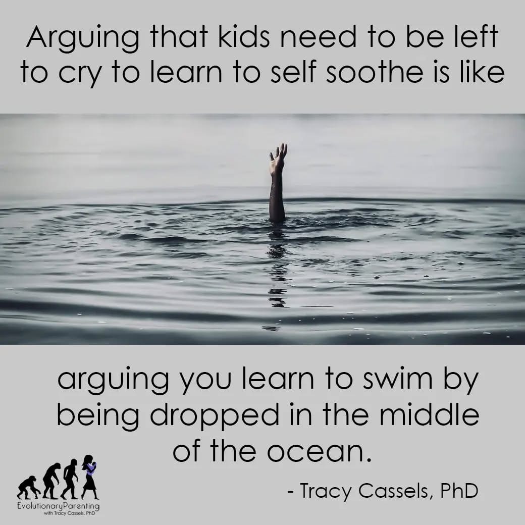 Post 8 by Tracy Cassels on Instagram (image)