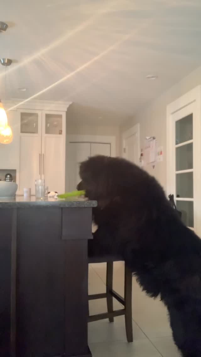 Post 2 by Darlene Melanson on Instagram (video)