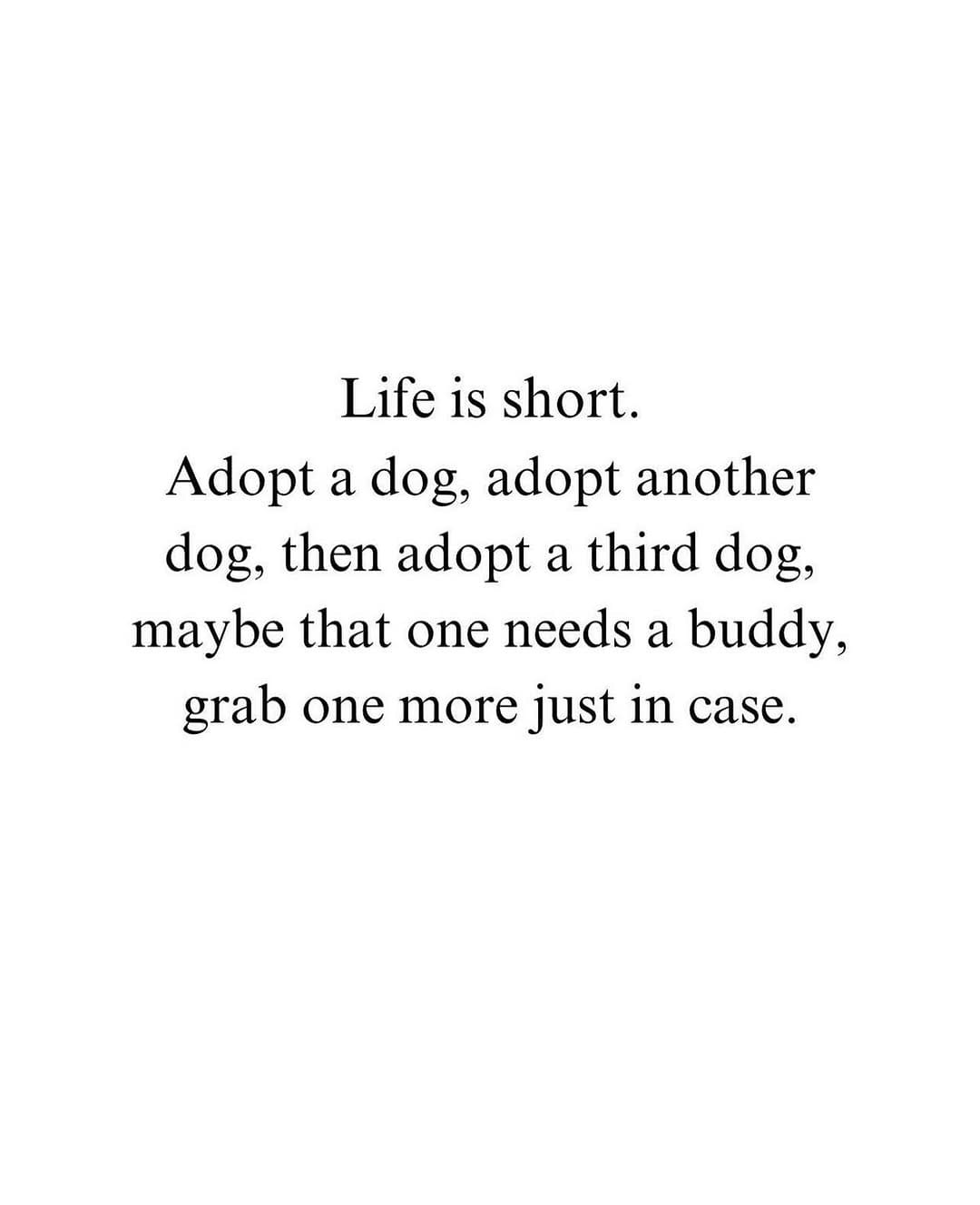Post 5 by Big and Small Rescue on Instagram (image)
