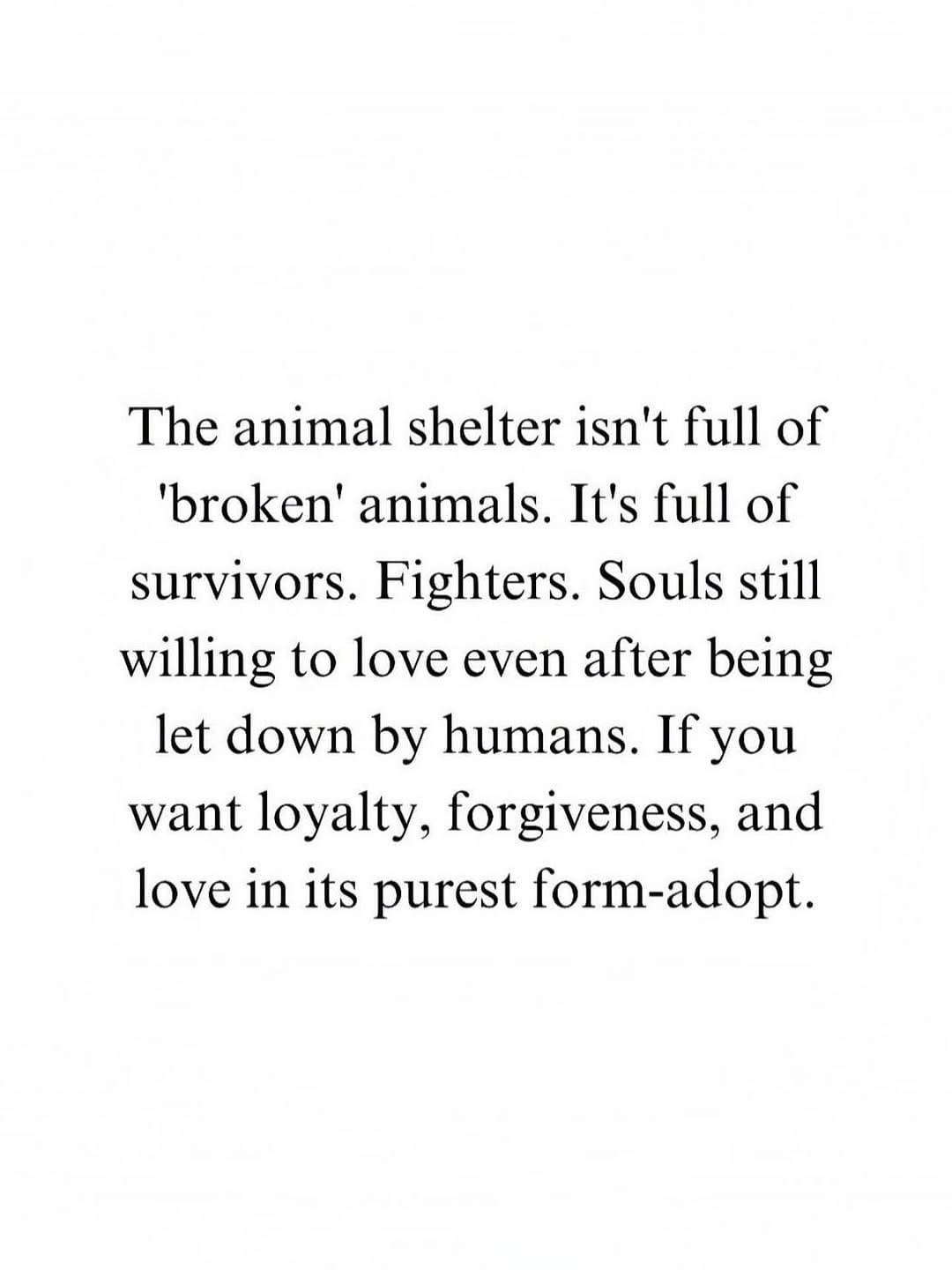 Post 6 by Big and Small Rescue on Instagram (image)