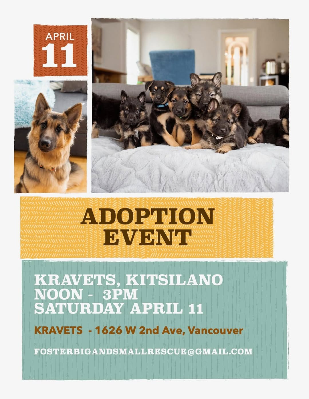 Post 2 by Big and Small Rescue on Instagram (image)