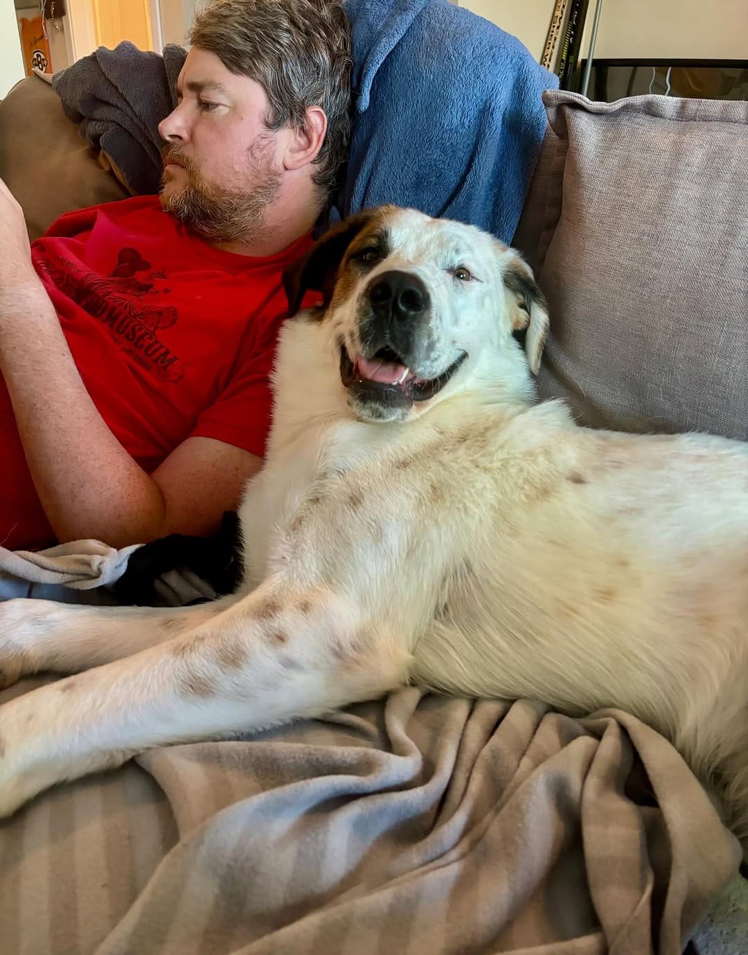 Post 8 by Big and Small Rescue on Instagram (image)
