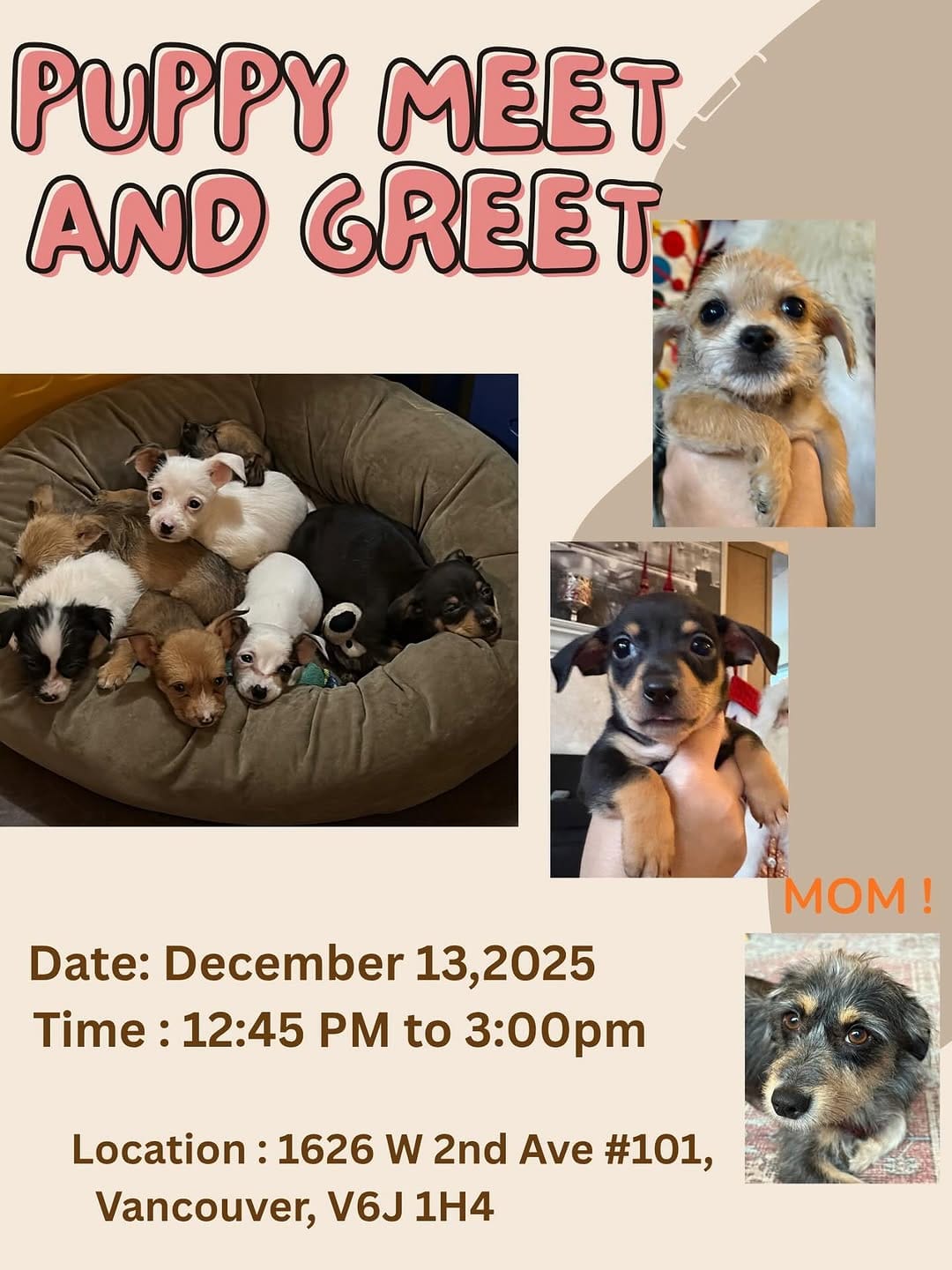 Post 4 by Big and Small Rescue on Instagram (image)