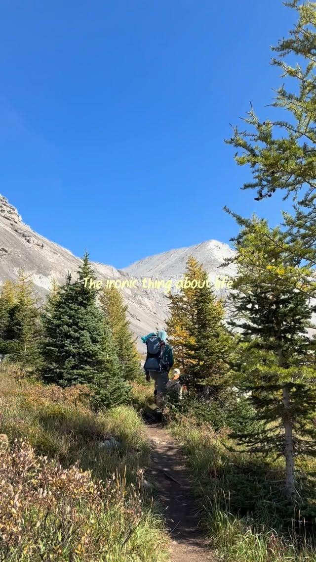 Post 9 by The Cupidos | Alberta Family • Life & Adventure on Instagram (video)