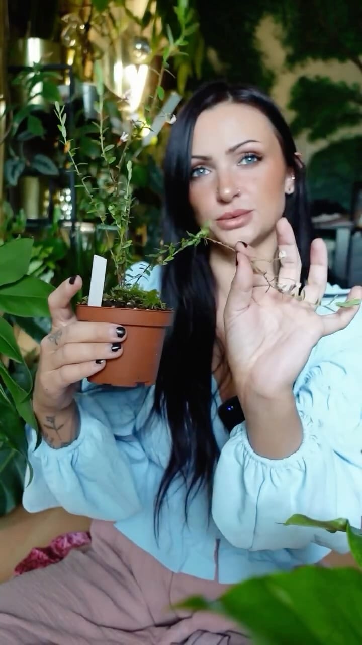 Post 4 by Franca Frankenstein on Instagram (video)