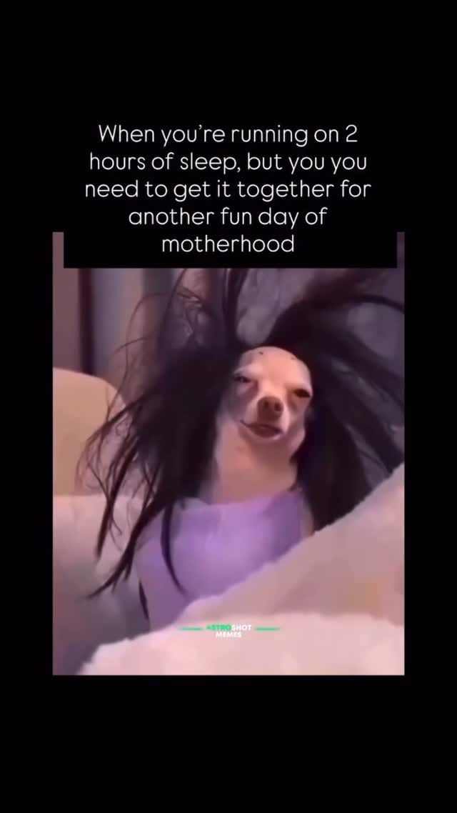 Post 5 by Mini.Mum. | Parenting | Family | Toddler | Advice on Instagram (video)
