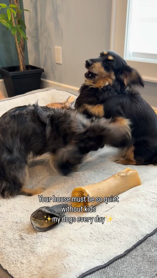 Post 5 by Magnolia, Barry & Reese on Instagram (video)