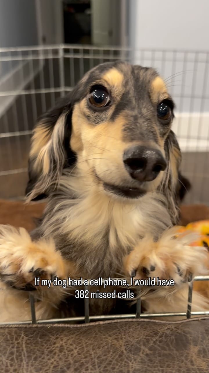 Post 1 by Magnolia, Barry & Reese on Instagram (video)