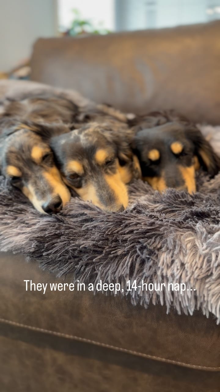 Post 7 by Magnolia, Barry & Reese on Instagram (video)