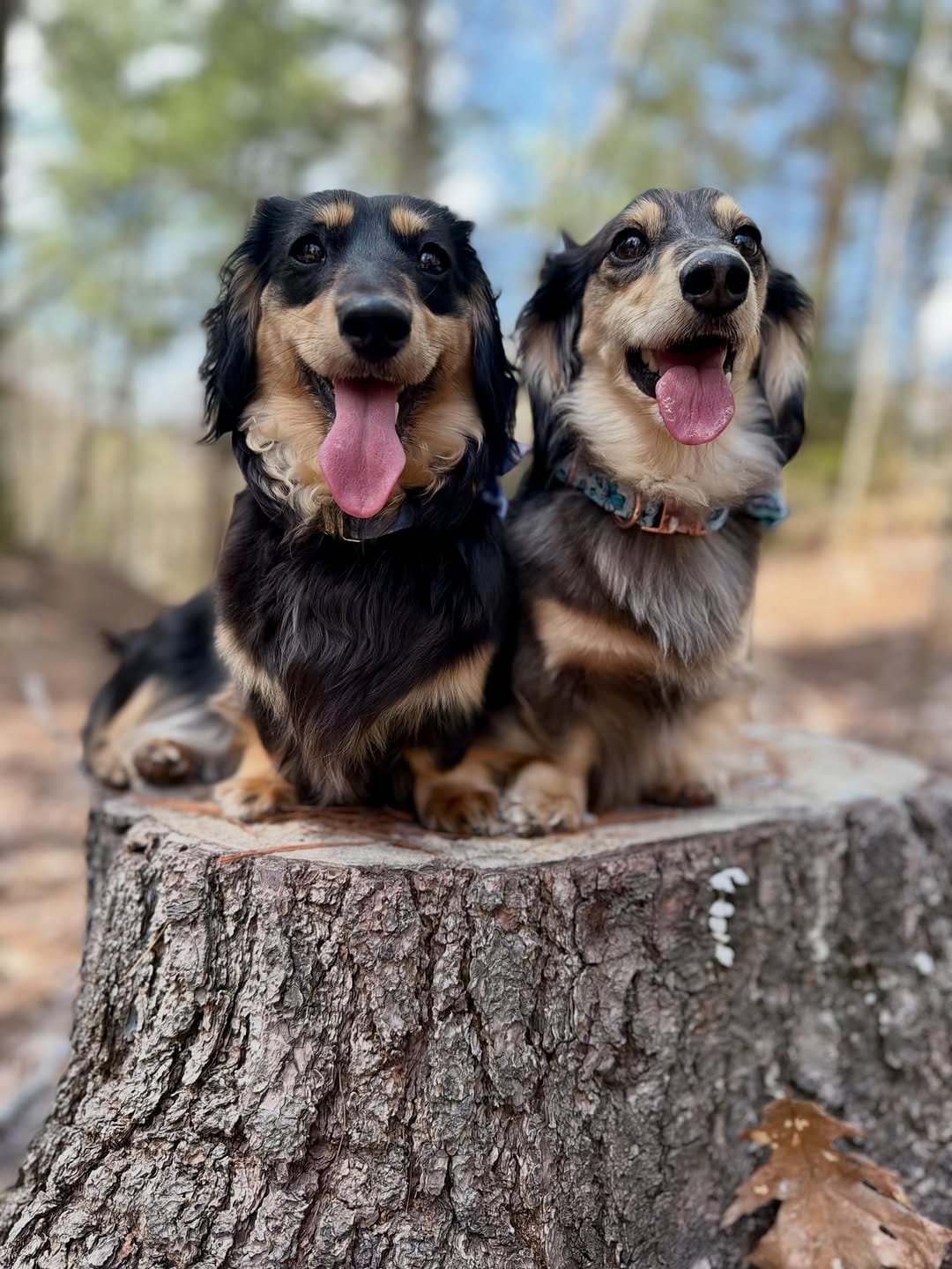 Post 4 by Magnolia, Barry & Reese on Instagram (carousel)