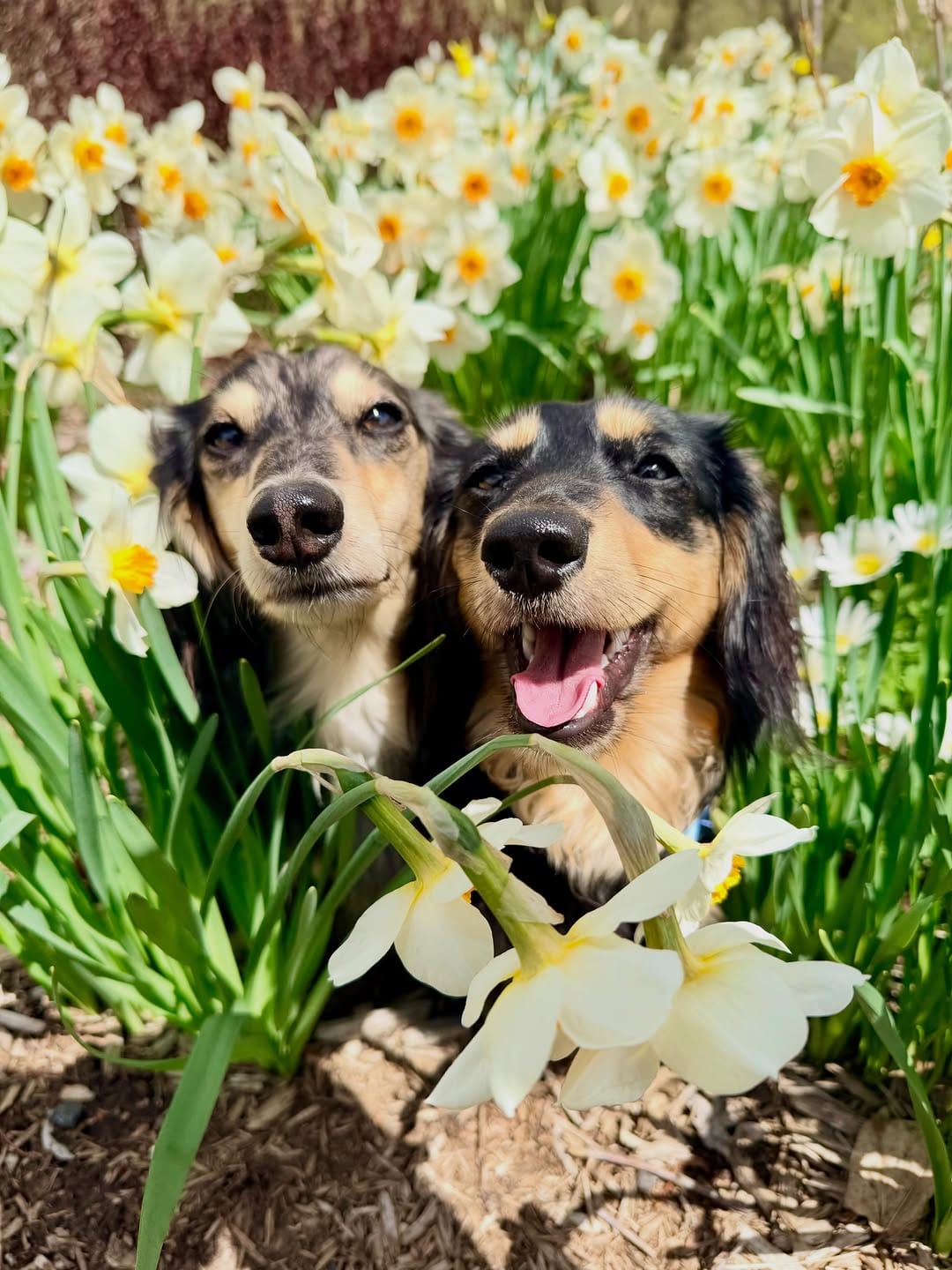 Post 2 by Magnolia, Barry & Reese on Instagram (carousel)