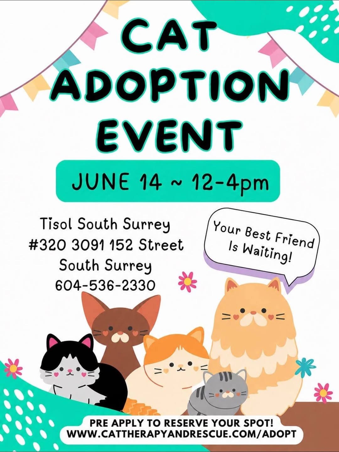 Post 4 by Cat Therapy and Rescue Society on Instagram (image)