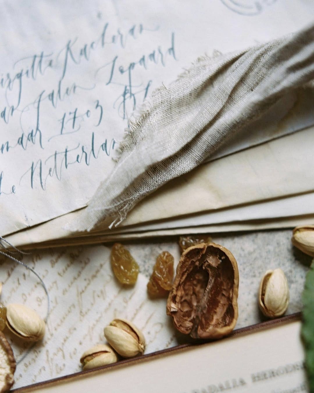 Post 8 by Jill Mayer on Instagram (image)