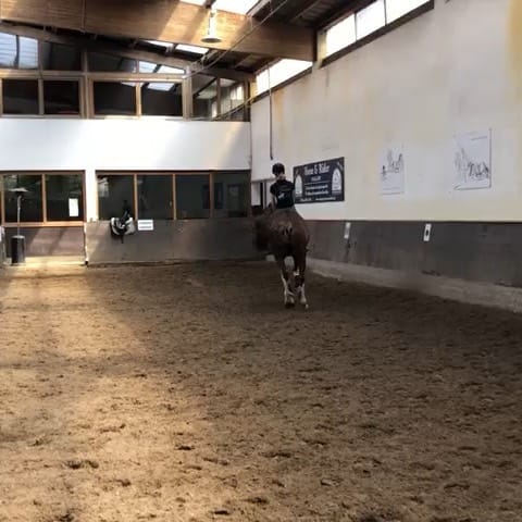 Post 6 by VICTORIA R on Instagram (video)