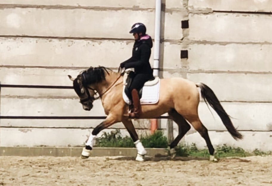 Post 2 by VICTORIA R on Instagram (carousel)