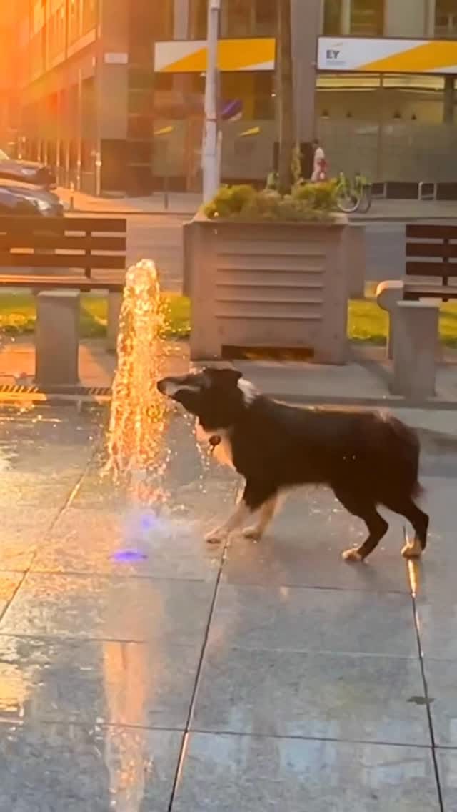 Post 3 by Dominik Arend on Instagram (video)