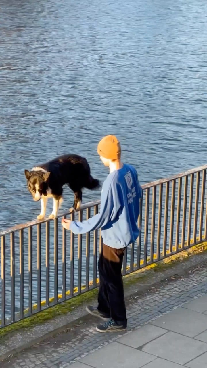 Post 9 by Dominik Arend on Instagram (video)