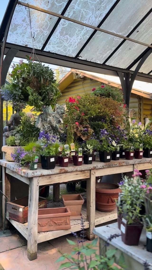 Post 5 by Southlands Nursery on Instagram (video)