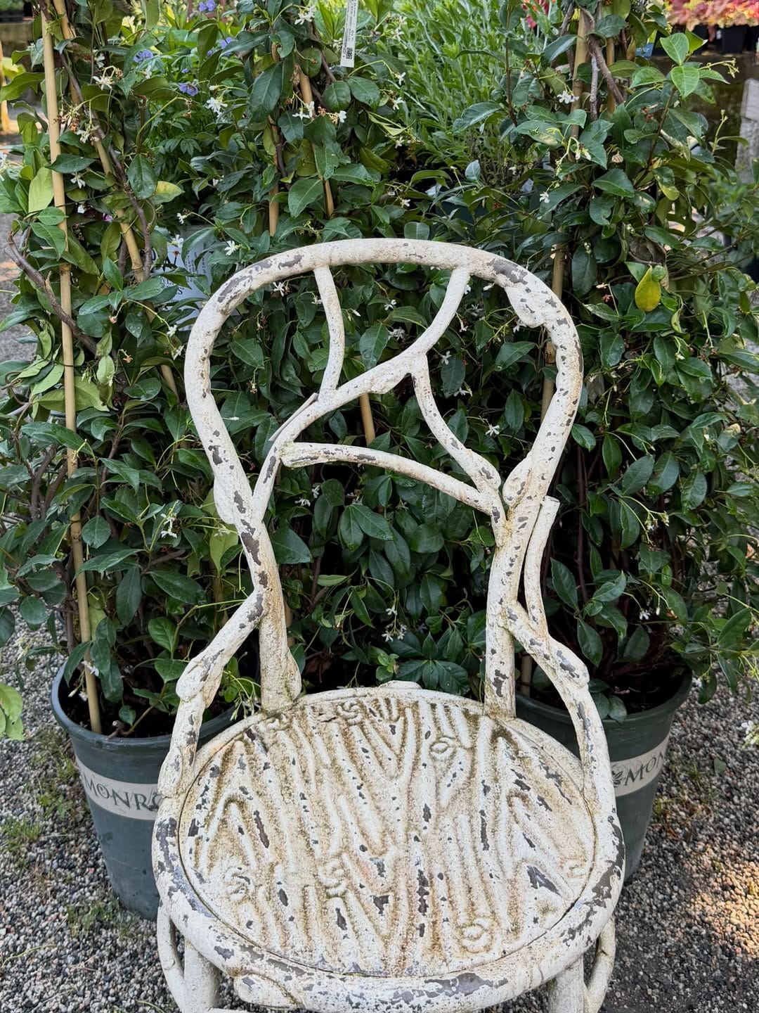 Post 9 by Southlands Nursery on Instagram (image)