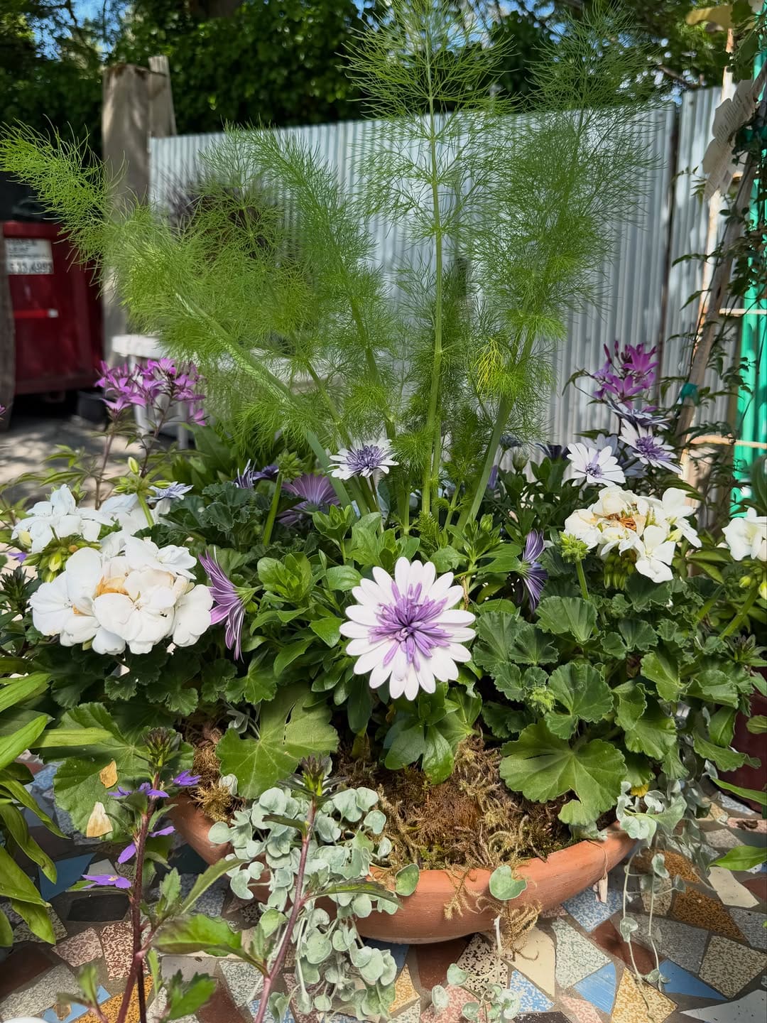 Post 4 by Southlands Nursery on Instagram (carousel)