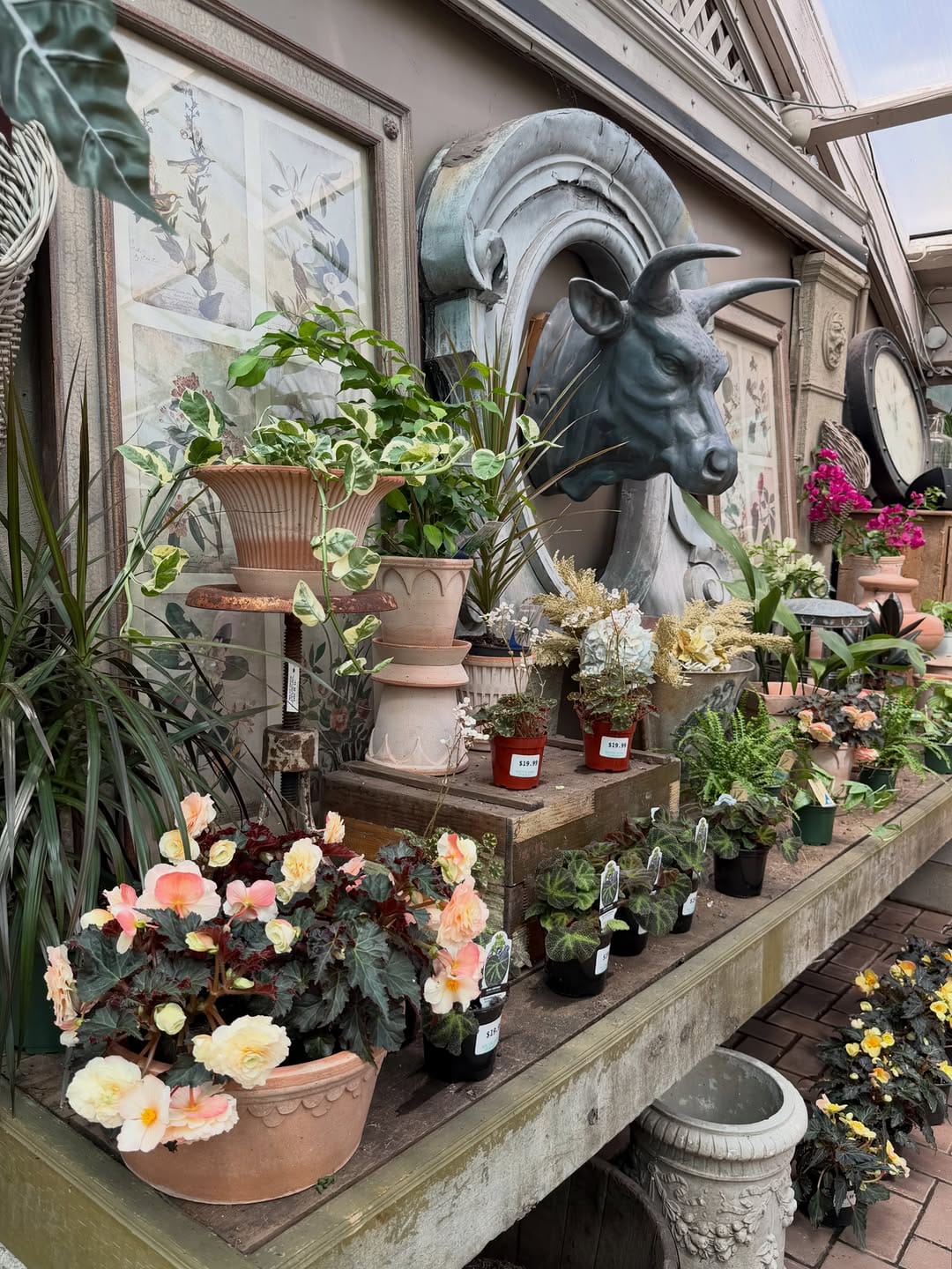 Post 2 by Southlands Nursery on Instagram (carousel)