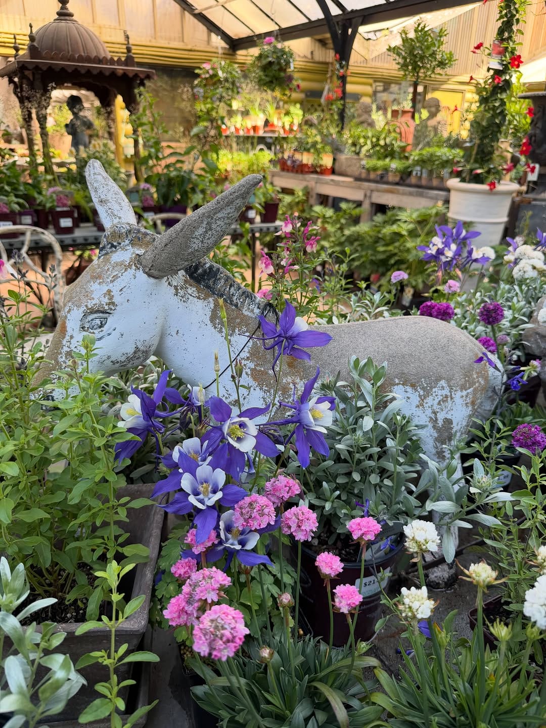 Post 1 by Southlands Nursery on Instagram (carousel)