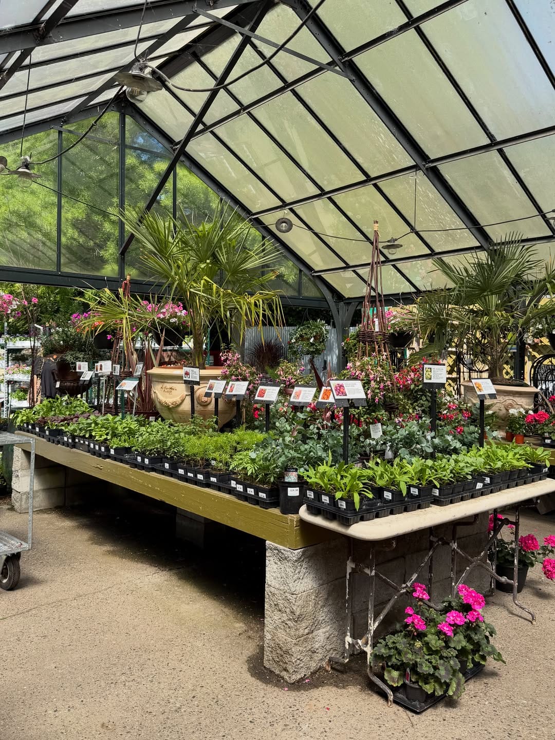 Post 7 by Southlands Nursery on Instagram (carousel)