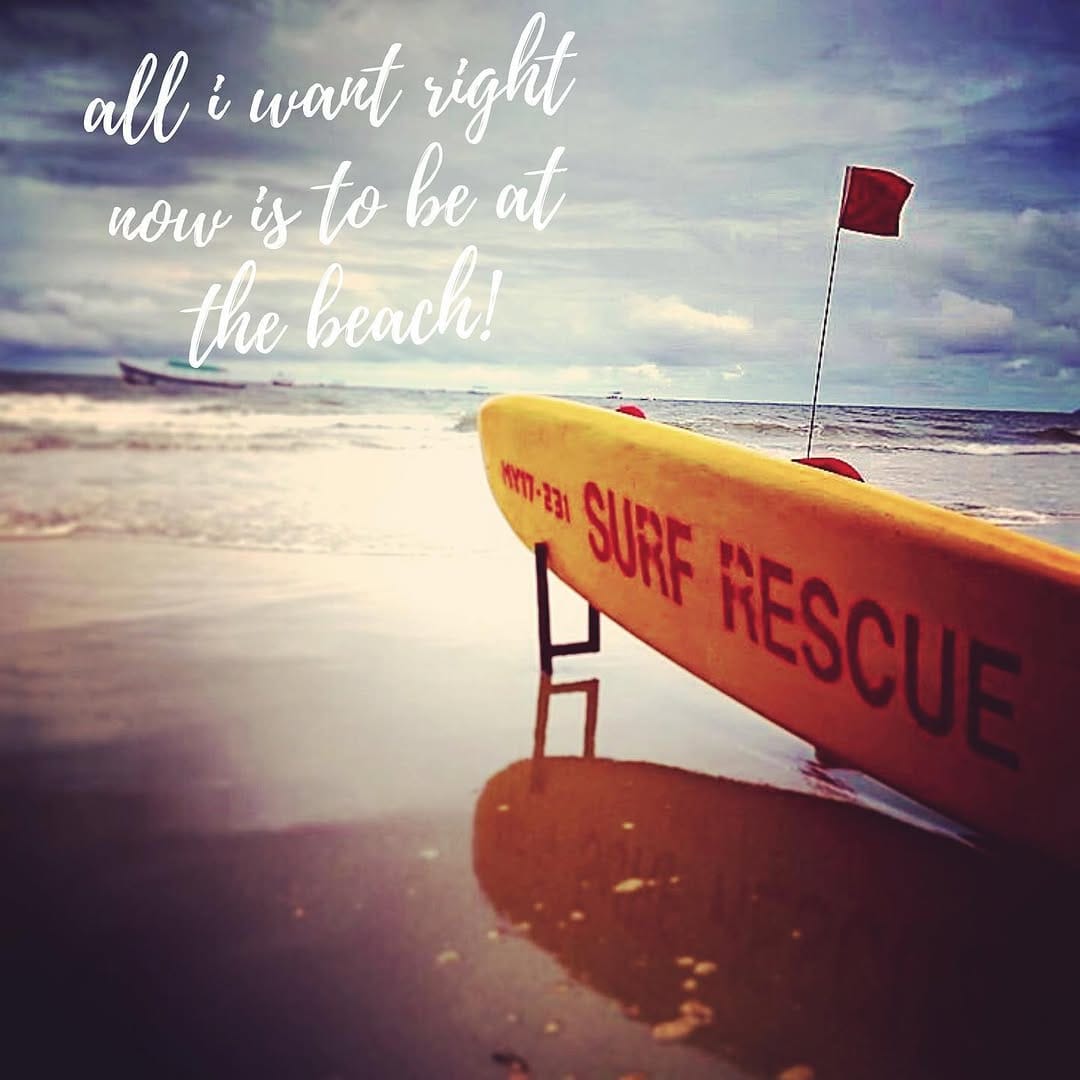 Post 6 by Instagoa on Instagram (image)