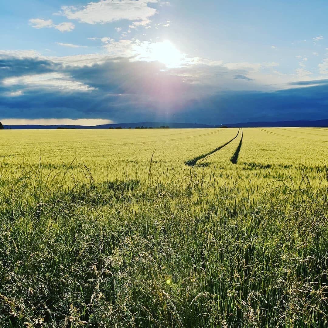 Post 8 by Wiesbaden on Instagram (image)