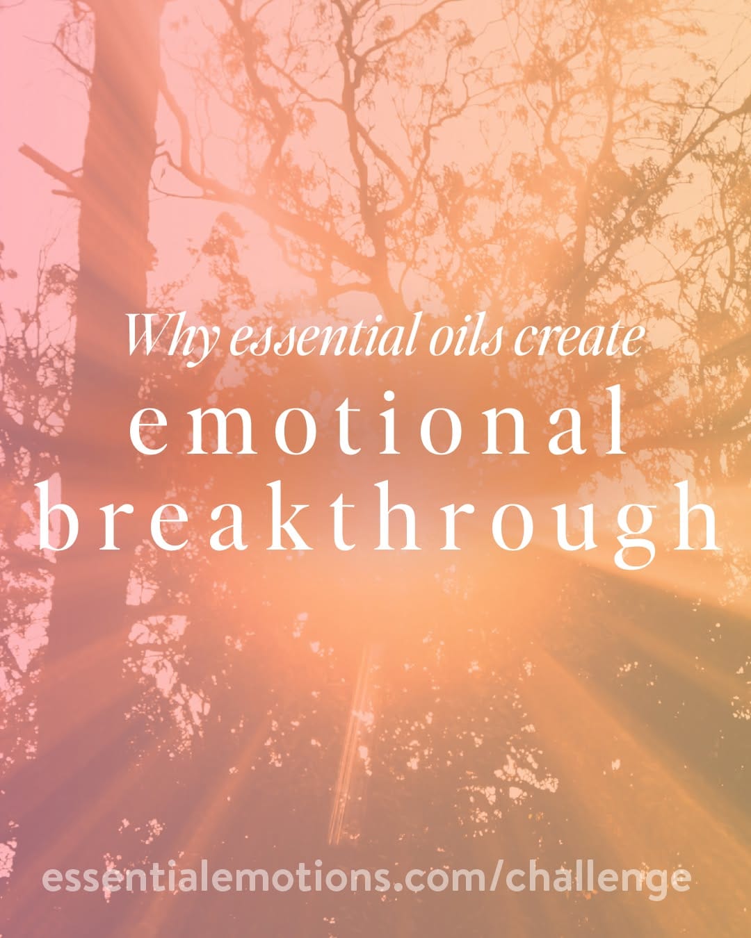 Post 9 by ESSENTIAL EMOTIONS || Book and App on Instagram (carousel)