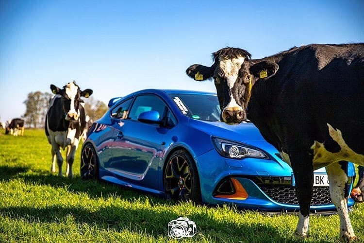 Post 5 by @opel_army on Instagram (image)