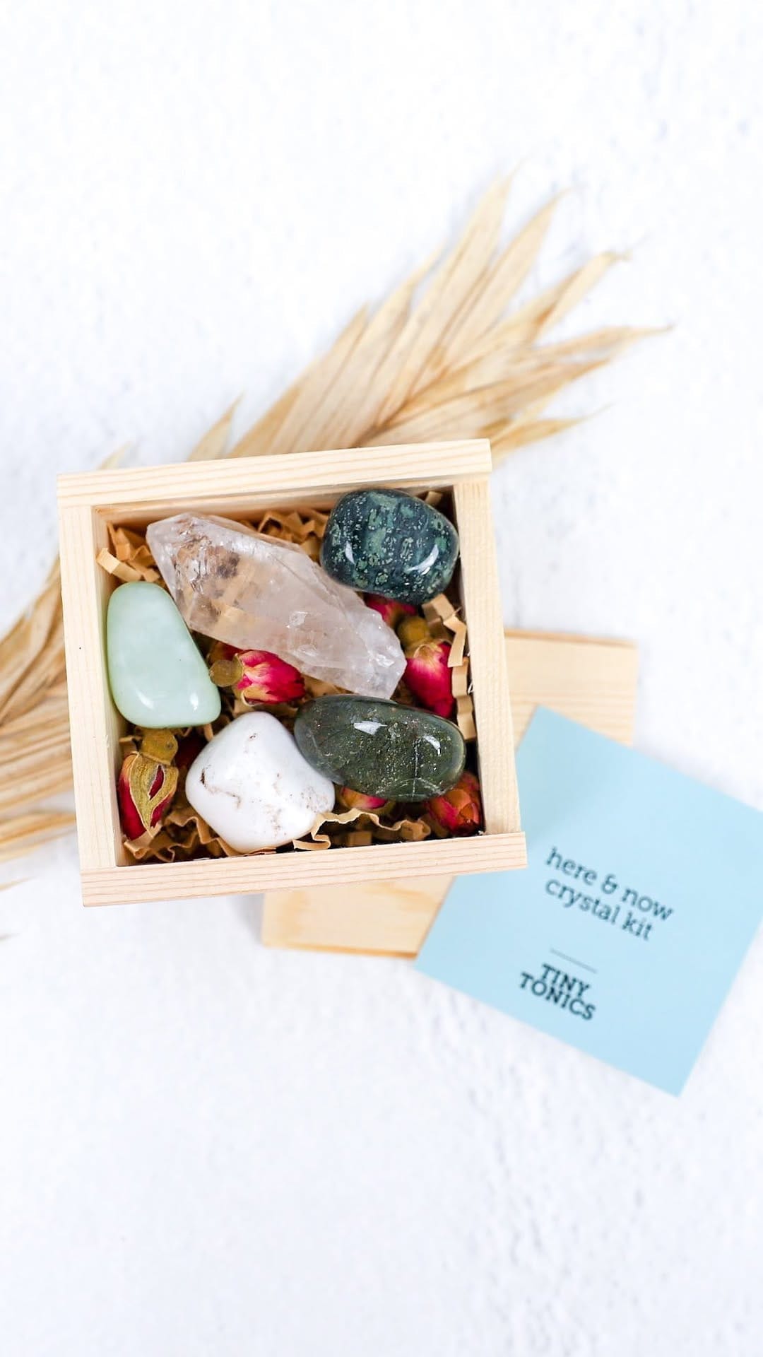Post 6 by Tiny Tonics + Aligned Mind Co. on Instagram (video)