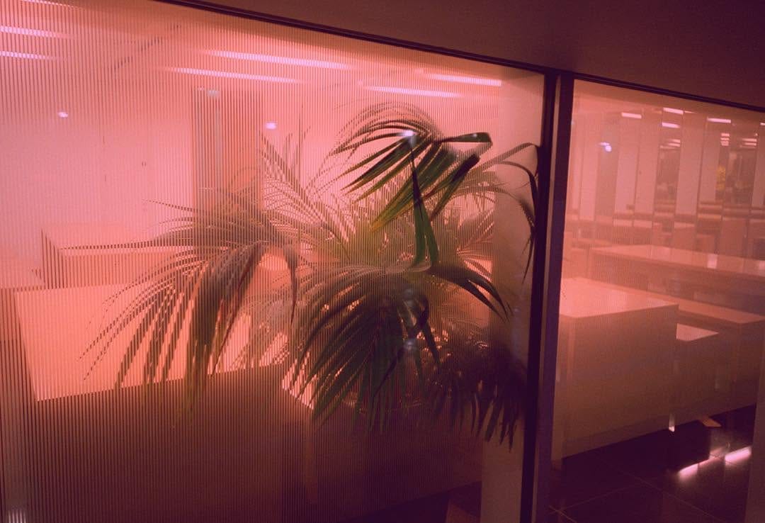 Post 8 by Babyr Mario Mertgen on Instagram (image)