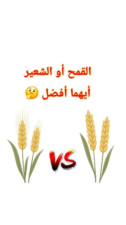 Post 9 by طبيبة جزائرية في ألمانيا on Instagram (video)