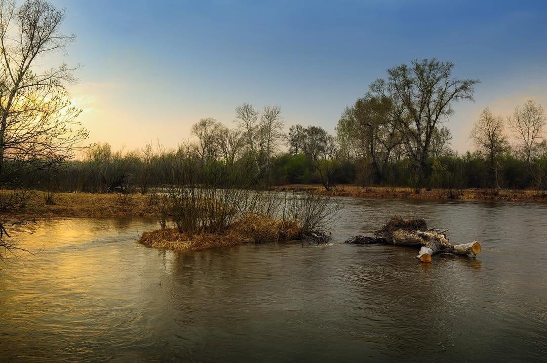 Post 4 by Feitsch nature 🌅 on Instagram (image)