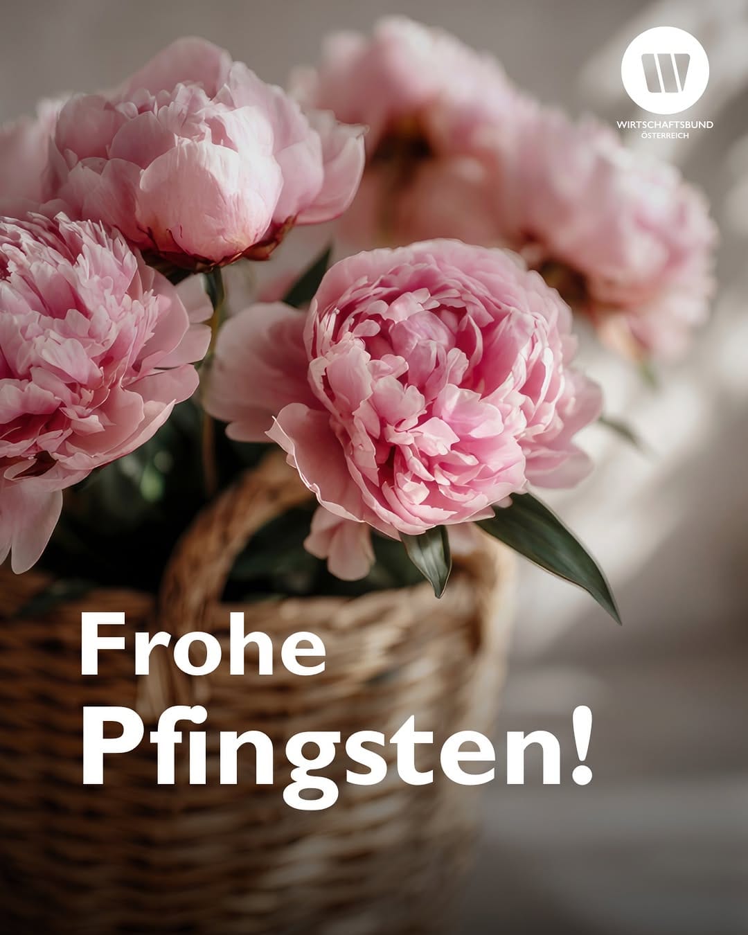 Post 6 by Österreichischer Wirtschaftsbund on Instagram (image)