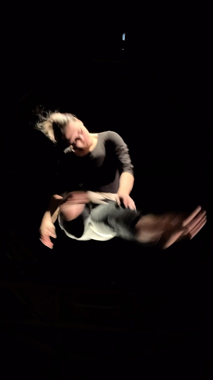 Post 9 by Izabelė Kuzelytė | Alt-Circus Artist on Instagram (video)