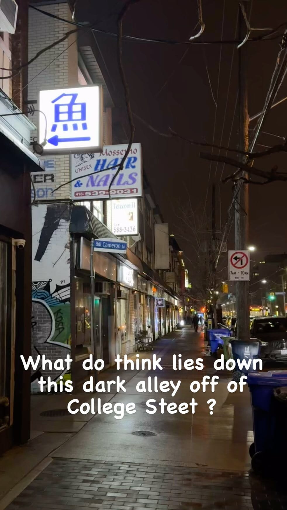 Post 4 by Ray Murakami on Instagram (video)