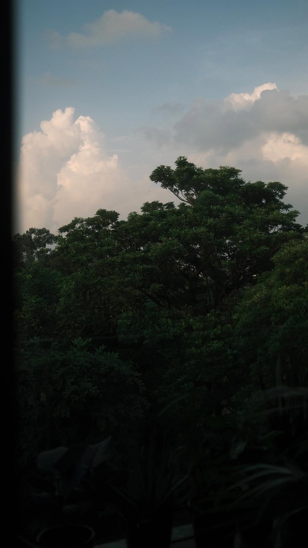 Post 8 by Tarun Balani on Instagram (video)