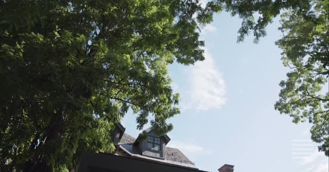 Post 4 by Store Urbain on Instagram (video)