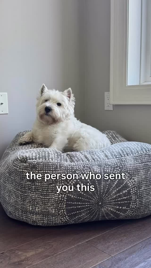 Post 2 by Blue on Instagram (video)